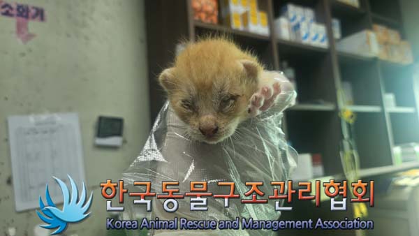 한국동물구조관리협회_411306202400732